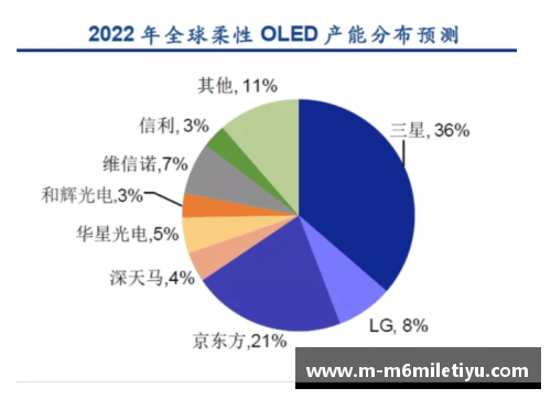 深度解析球员表现及潜力评估