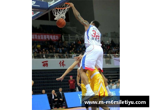 霍尔曼：篮球赛场上的新秀之星
