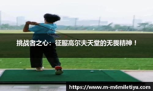m6米乐体育