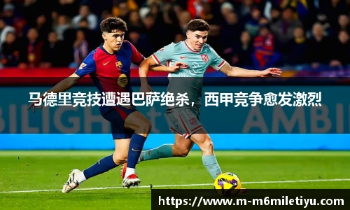 m6米乐体育