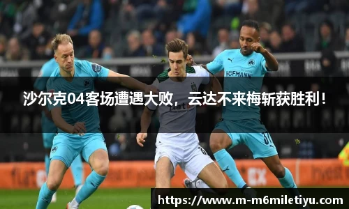m6米乐体育