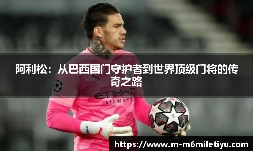 m6米乐体育